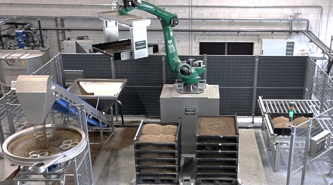 Produktionslinie FarmInsect