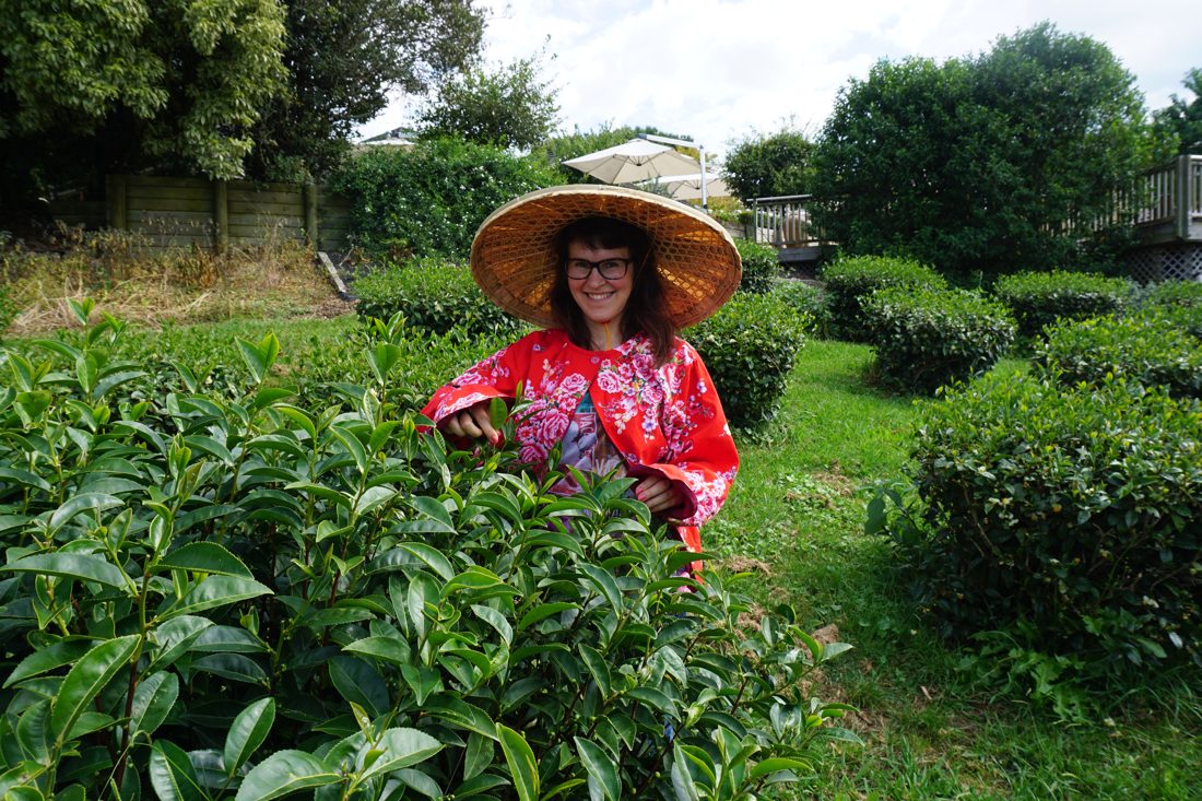 Teeplantage